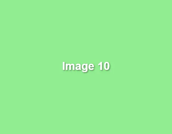 green-image-10.webp