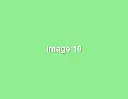 green-image-10.webp
