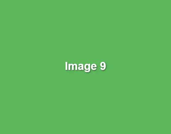 green-image-9.webp