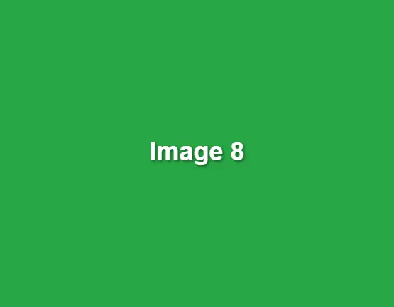 green-image-8.webp
