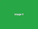 green-image-8.webp