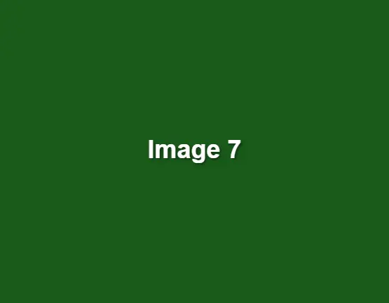 green-image-7.webp