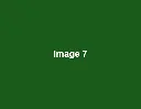 green-image-7.webp