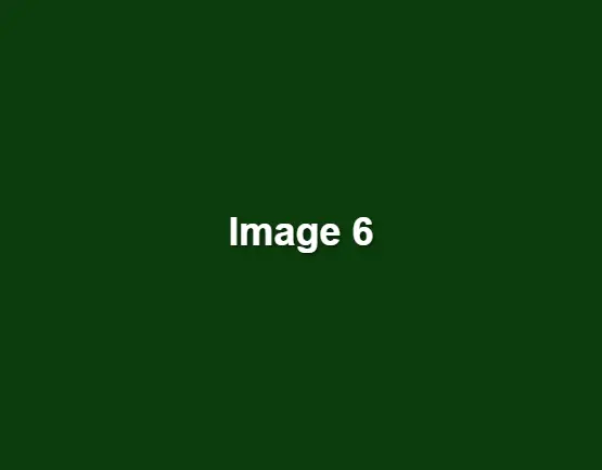 green-image-6.webp