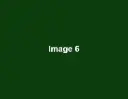 green-image-6.webp