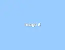 blue-image-5.webp